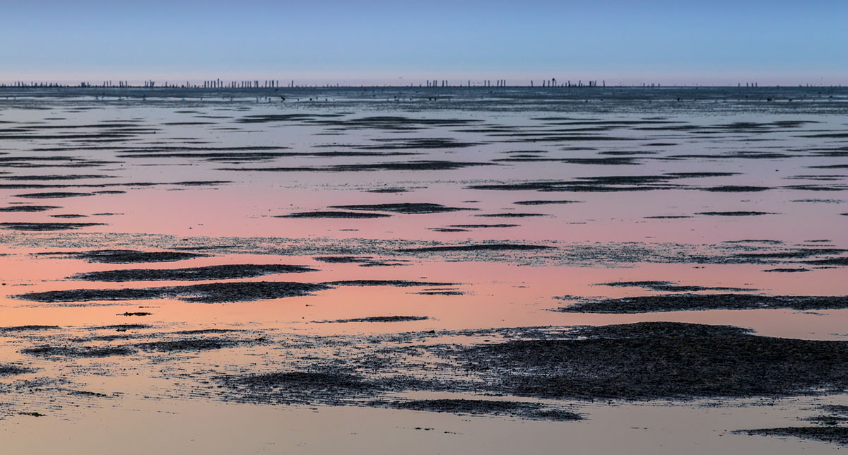 Fotoweekend-Groninger-Wad-en-Landschap-Noordkaap-IMG_3802