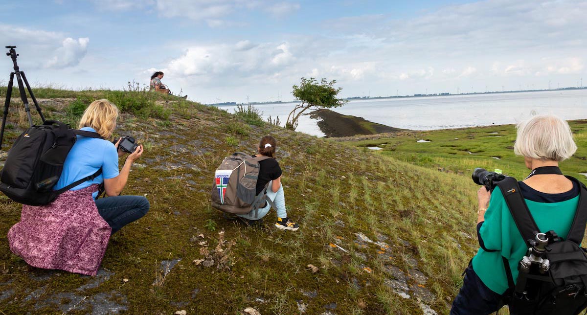 fotoweekend-Groninger-wad-en-landschap-IMG_0583