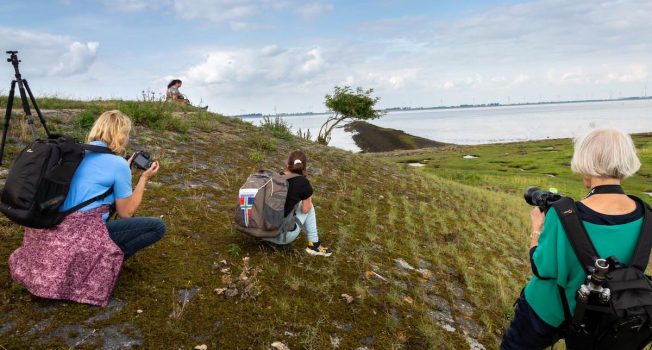 fotoweekend-Groninger-wad-en-landschap-IMG_0583